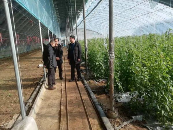 泰安市环境业商会秘书长受邀前理事单位山东碧蓝生物科技有限公司参观产业模块